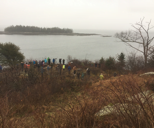 view of the birders