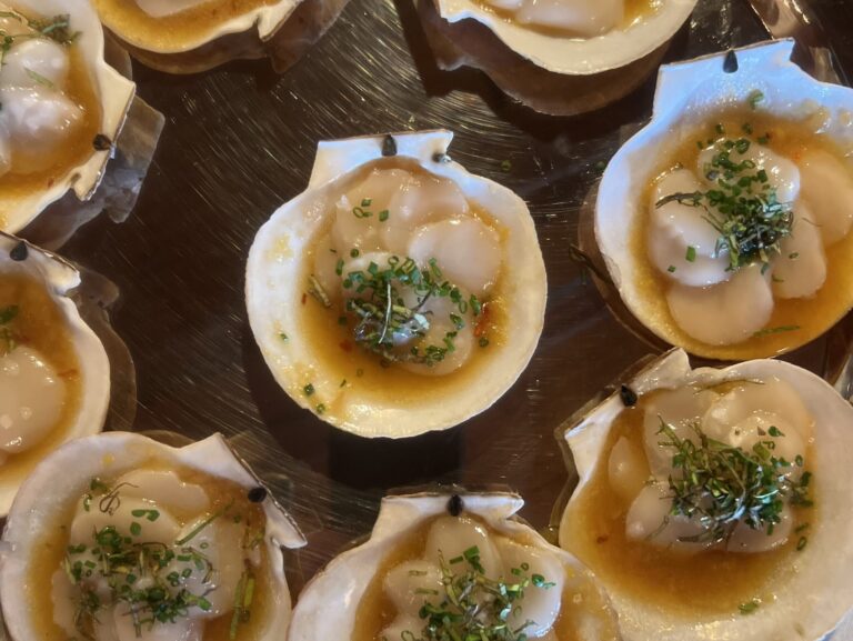 scallops on the half shell special