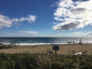 View of the beach at Reid State Park